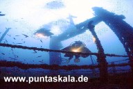 Ein wundervolle Unterwasserwelt